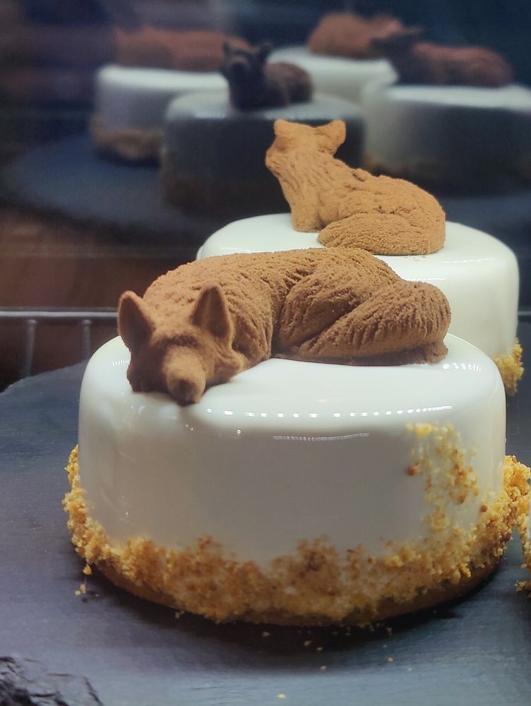 Photograph by Olena Chertous