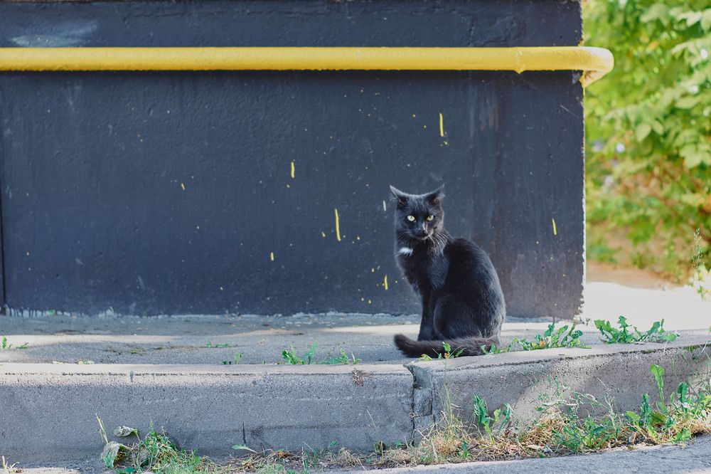 Photograph by Александр Белов