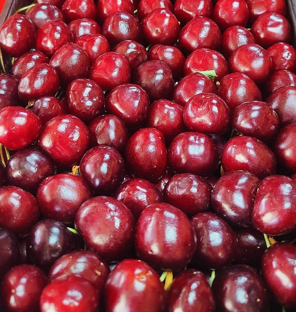 Photograph by Olena Chertous