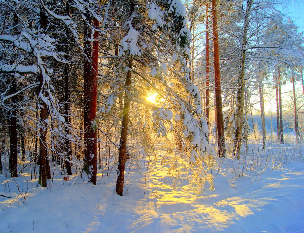 Photograph by Михаил Вечерский