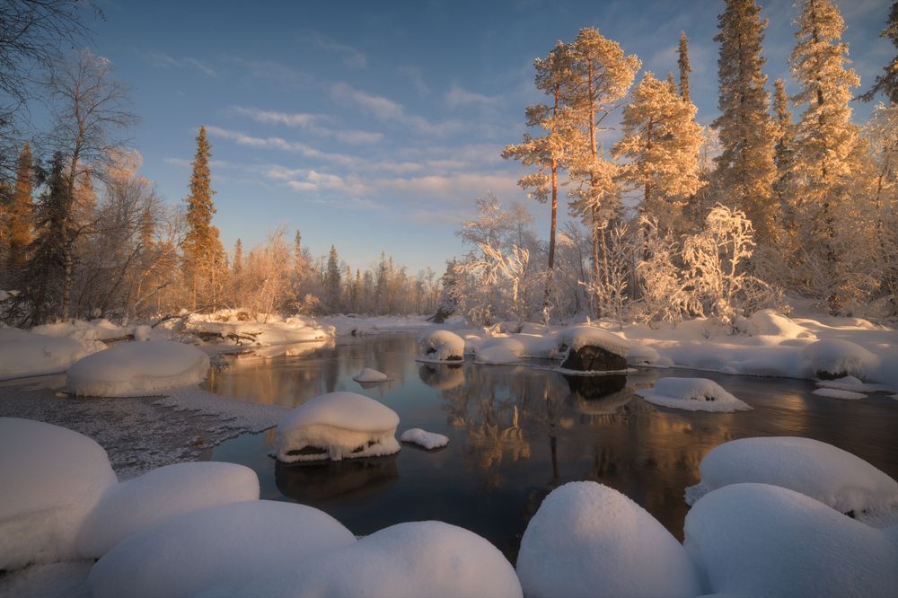 Photograph by Гордиенко Анатолий