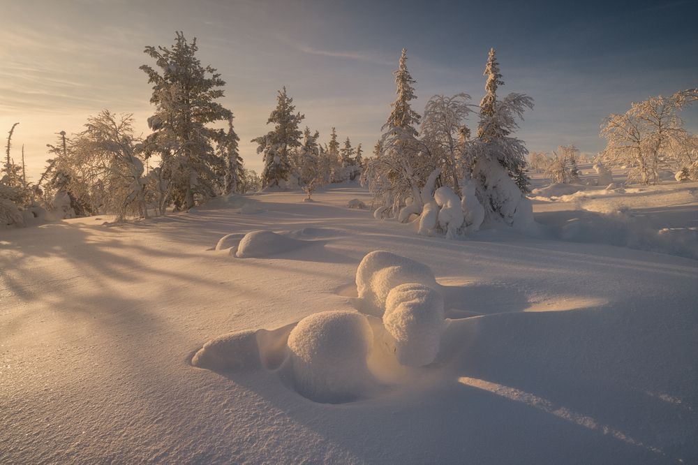 Photograph by Гордиенко Анатолий