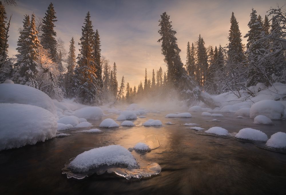 Photograph by Гордиенко Анатолий