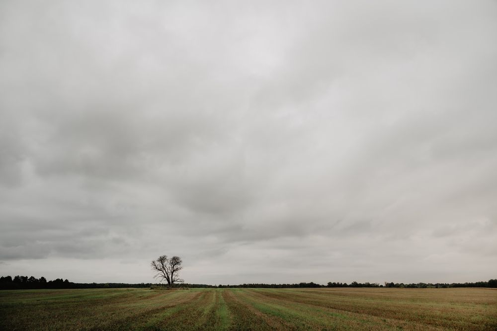 Photograph by Виктор Петров