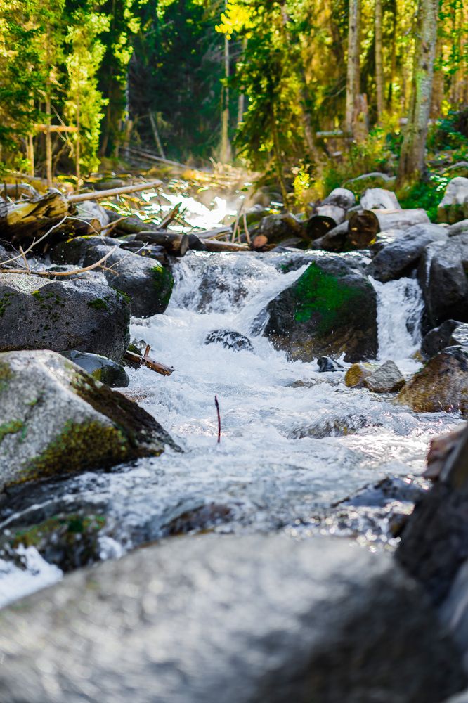 Photograph by Марина Костина