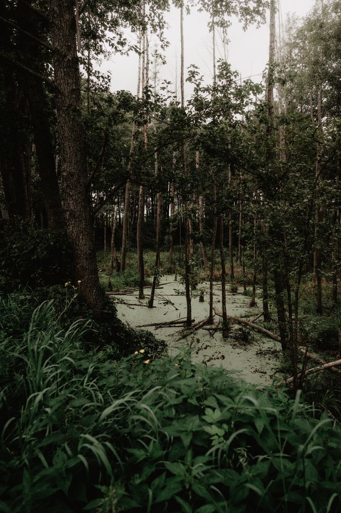 Photograph by Виктор Петров