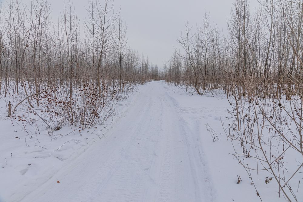 Photograph by Татьяна Гузева