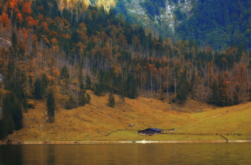 Photograph by Natalia Bolotenkova