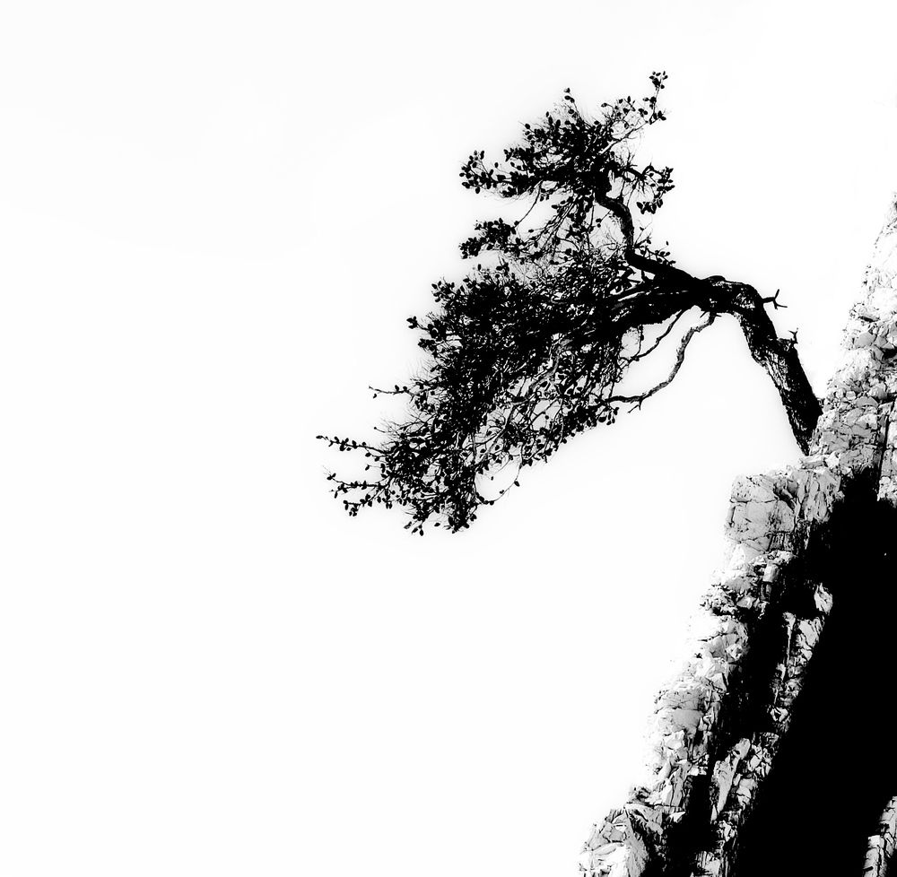 Photograph by Сергей Христинич