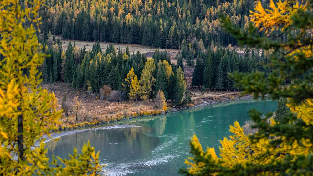 Photograph by Devender Mark