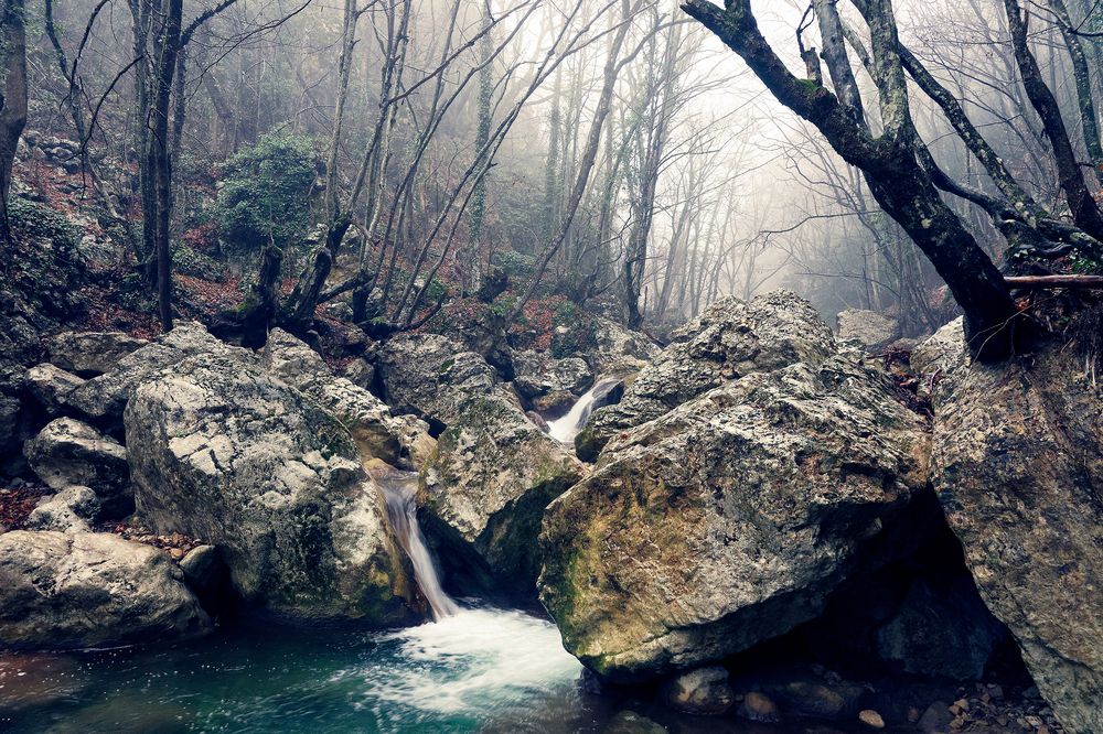 Мистика осеннего леса