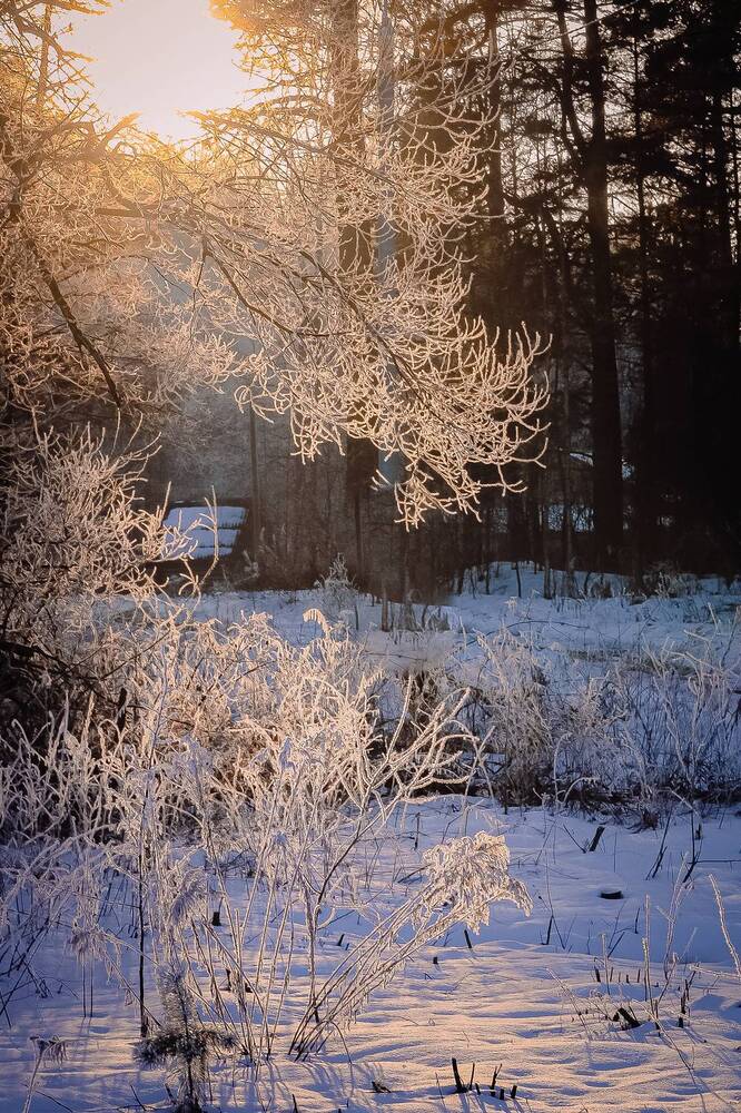 Фотография автора Наталья Бабицкая