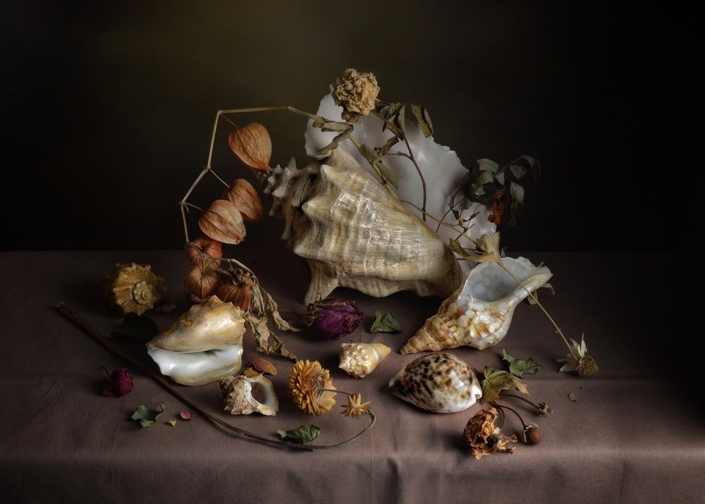 Photograph by Дина Полухина