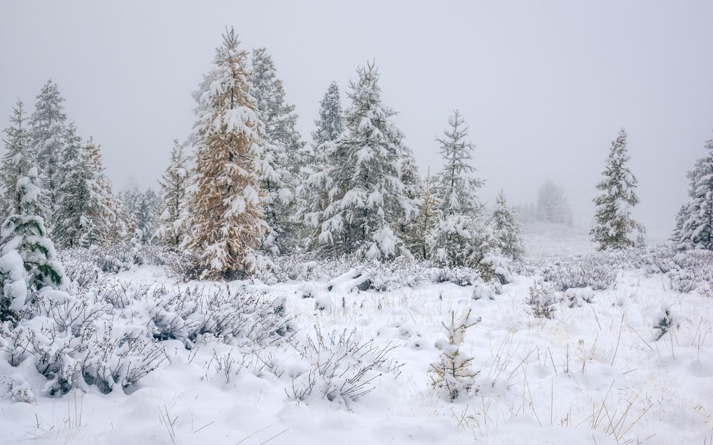 Hello, Mother Winter!