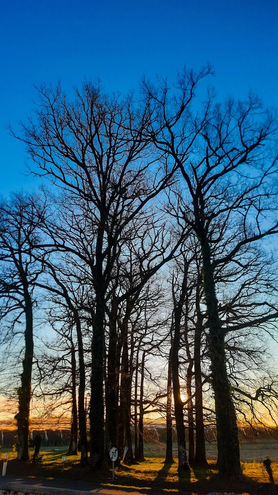 Photograph by sameera madushantha