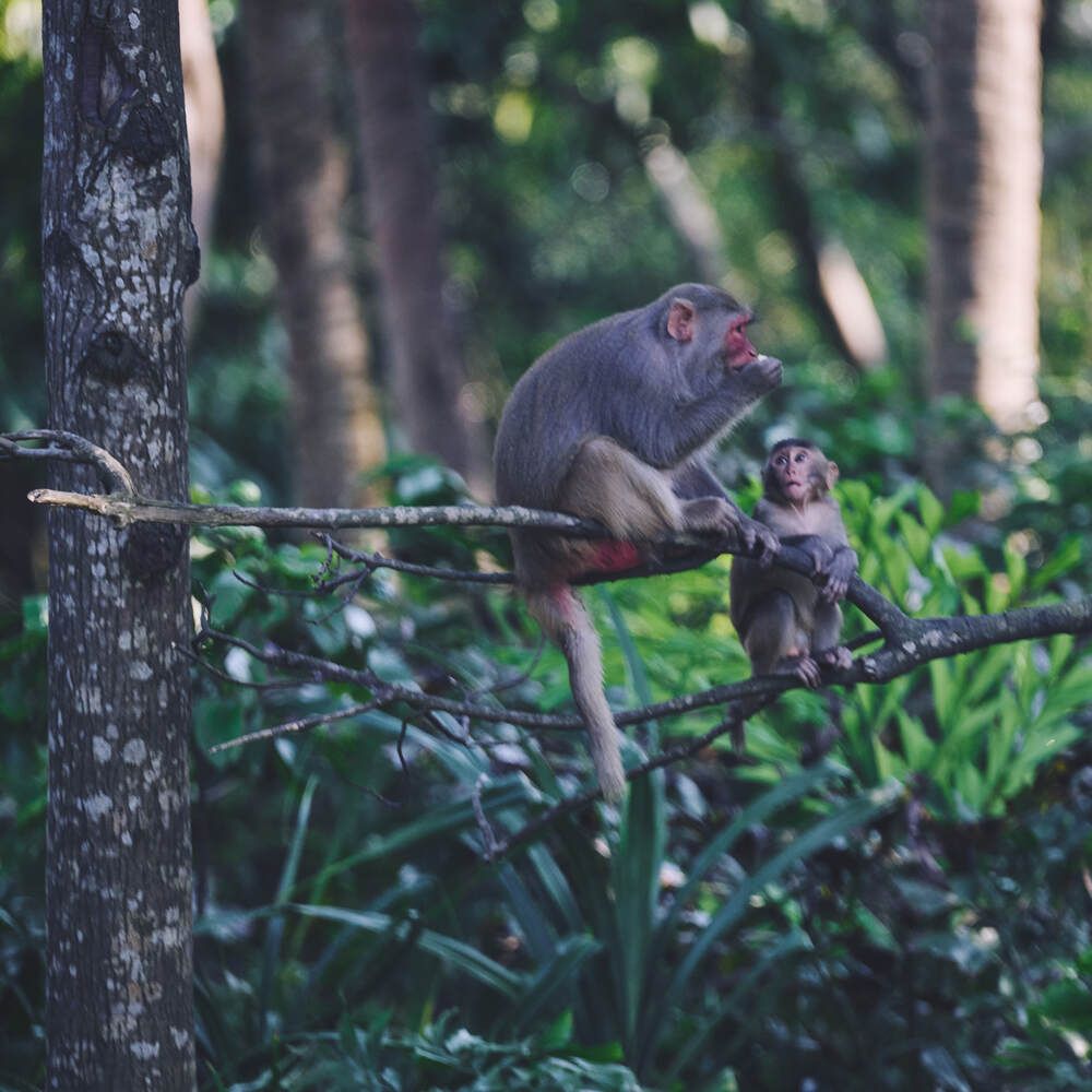 Photograph by Дмитрий Солодухин