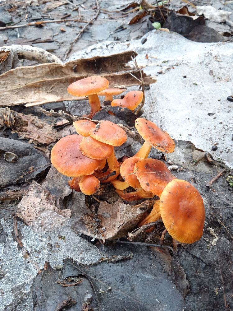 Фотография автора Андрей Тимошенко