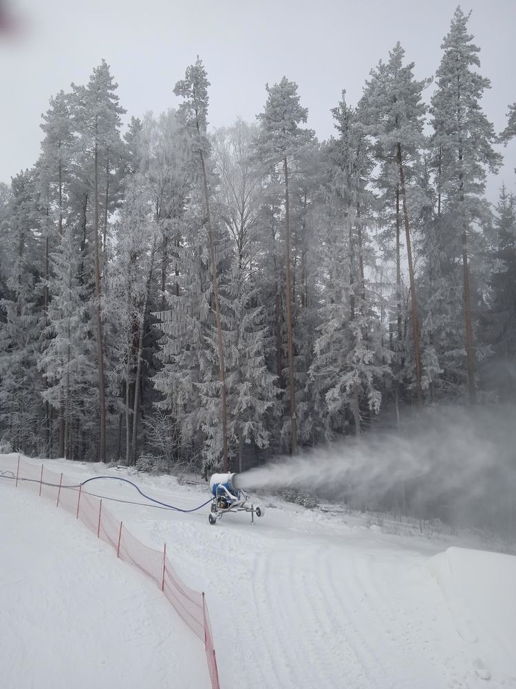 Photo #11837033