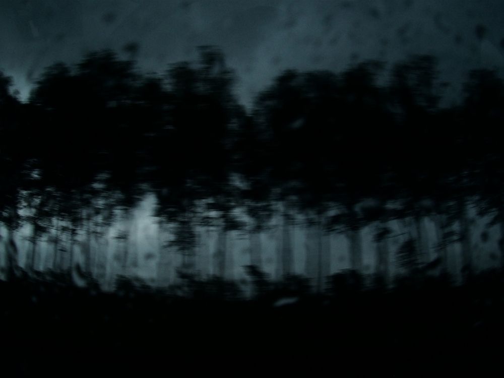 Photograph by Дмитрий Потапов