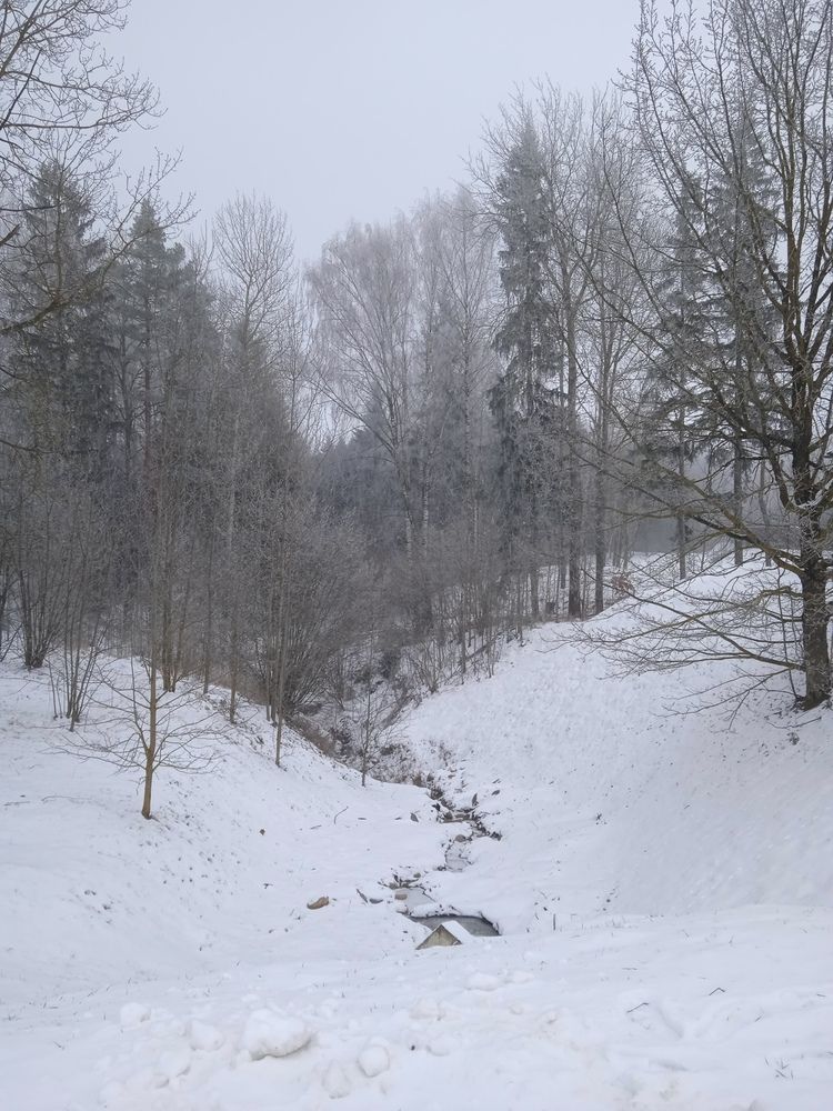 Photograph by Фёдор Викторович
