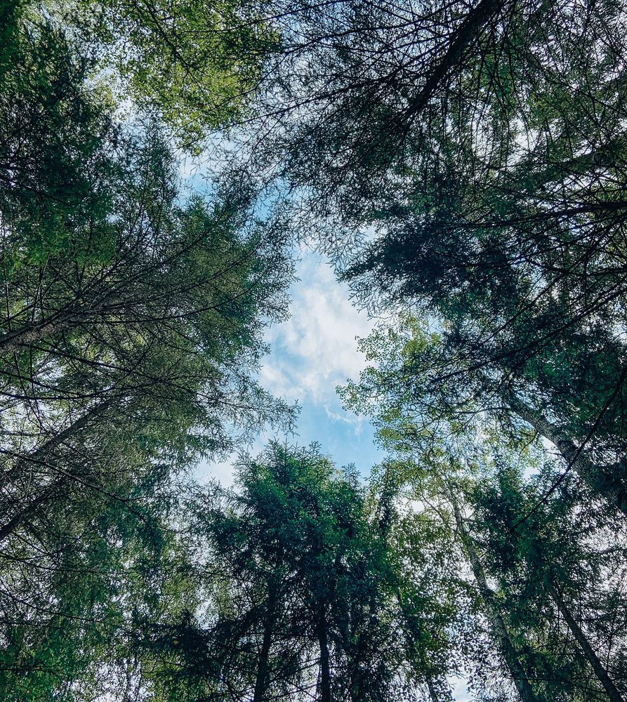 Photograph by Евгения Д