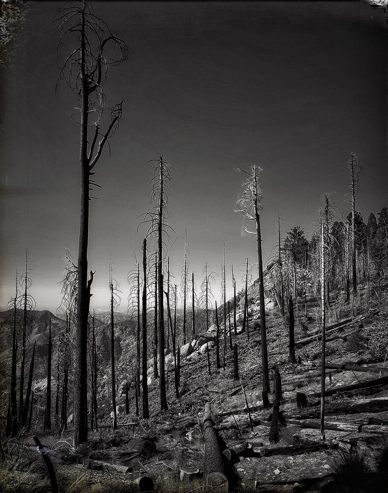 Photograph by Iuliia Akhulkova