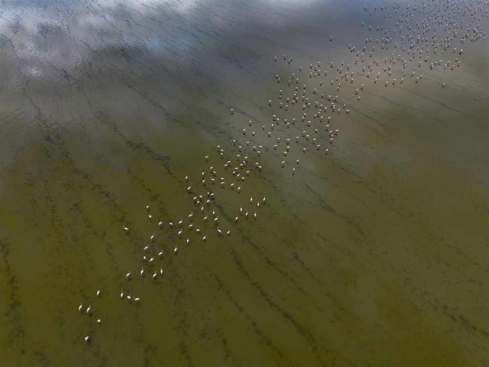 Photograph by mehdi mohebi pour