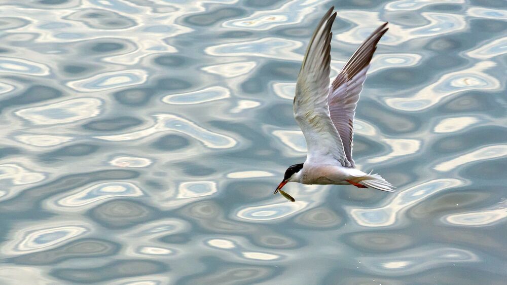 Photograph by Boeva Yuliya