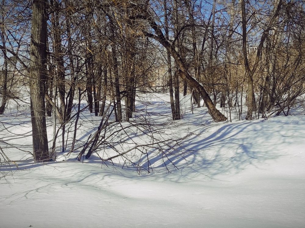 Photograph by Helen Ka