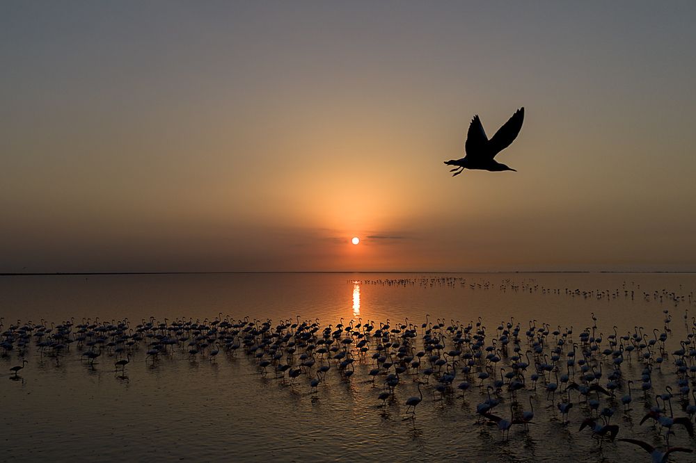 Photograph by mehdi mohebi pour