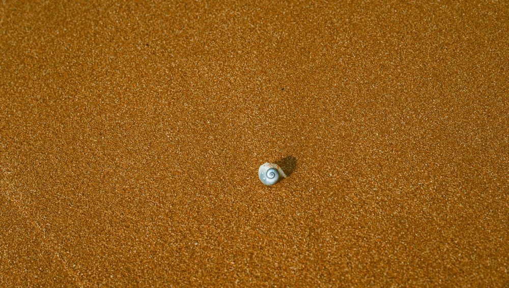 Photograph by Максим