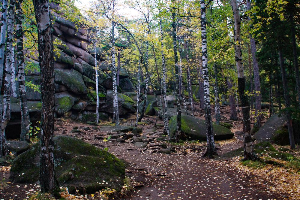 Photograph by Дмитрий Потапов