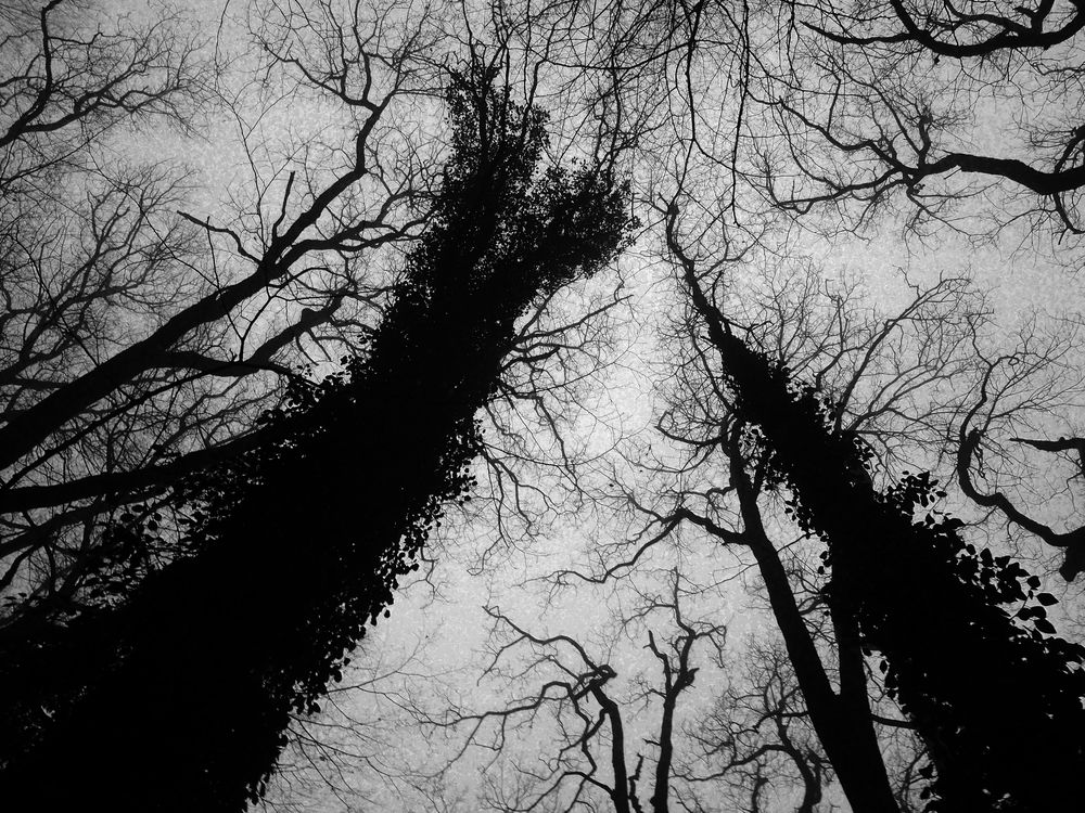 Photograph by Дмитрий Потапов