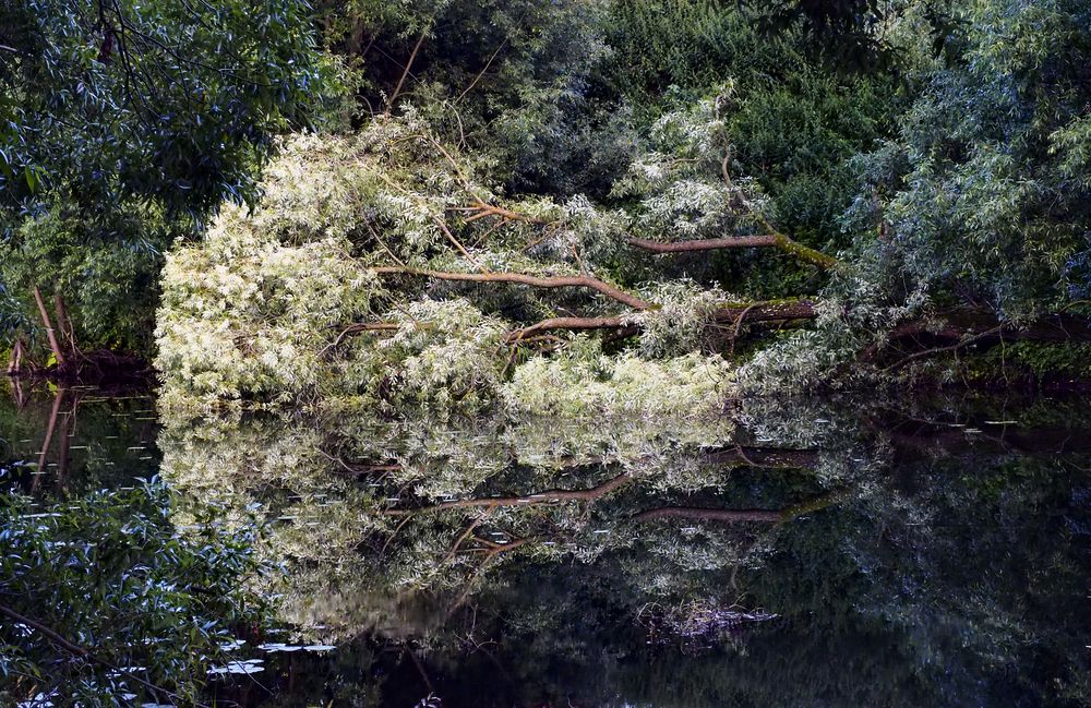 Photograph by Дмитрий Потапов