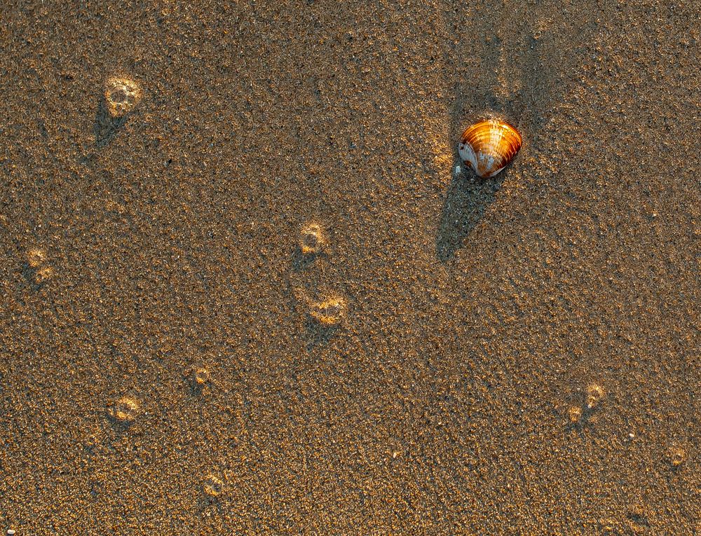 Photograph by Максим