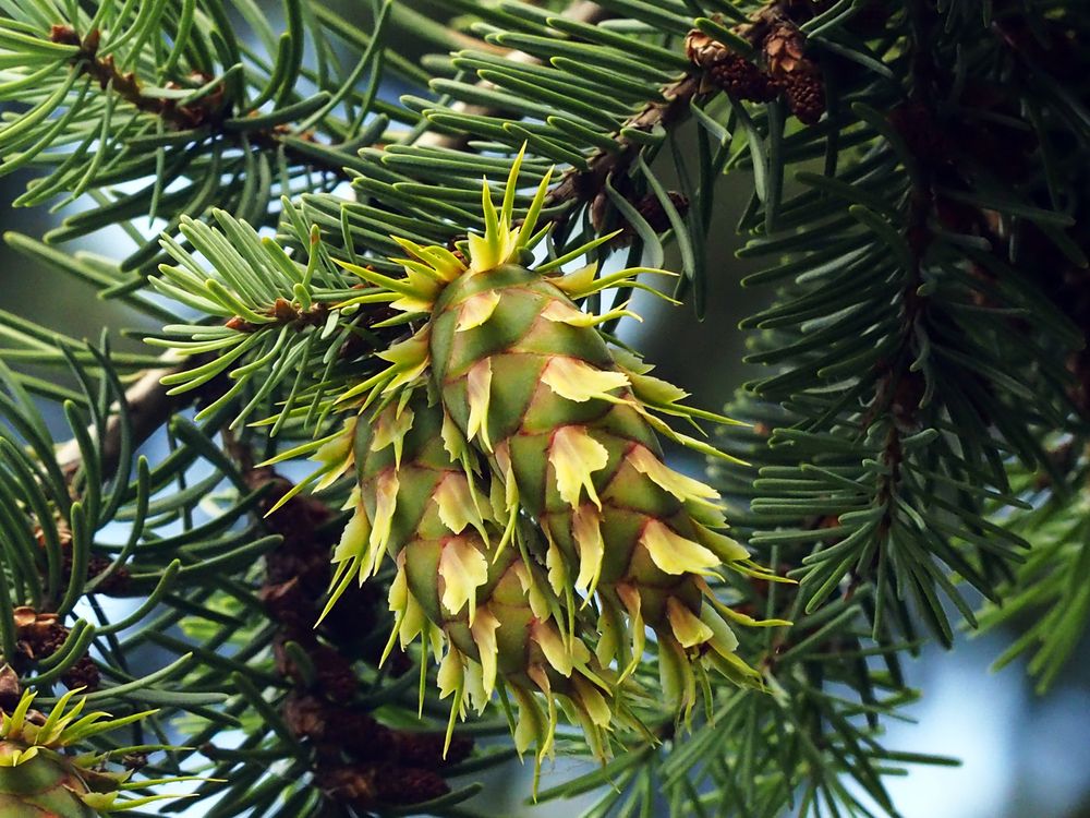 Photograph by Дмитрий Потапов