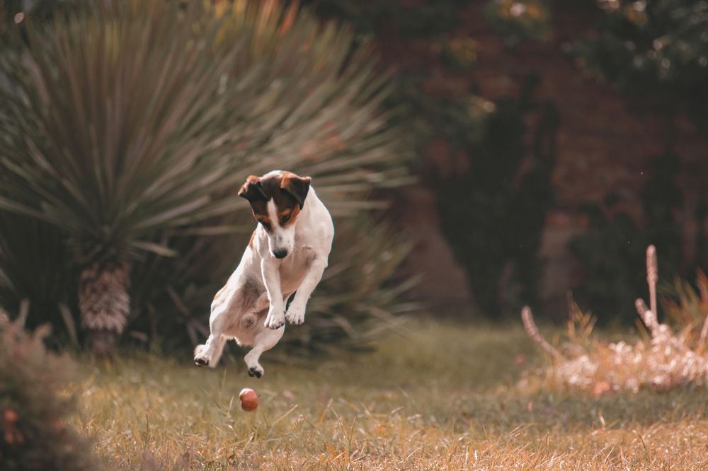 Photograph by Даников Анастасия