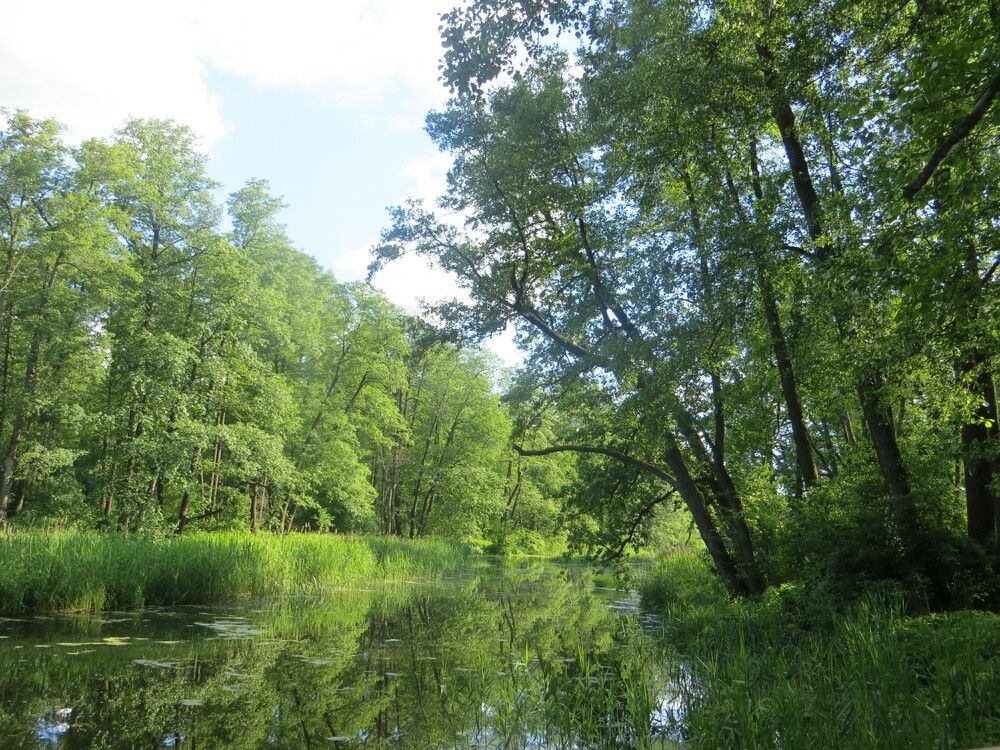 Photograph by Татьяна Поминова