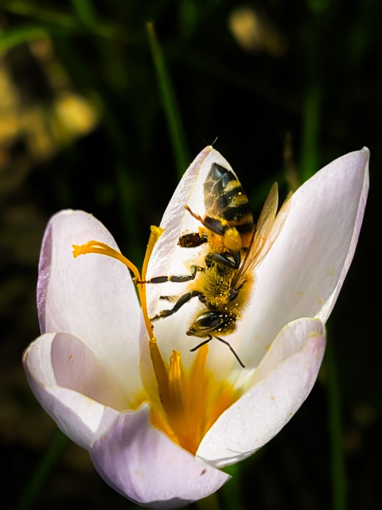 Фотография автора Farzad Mohebbipour