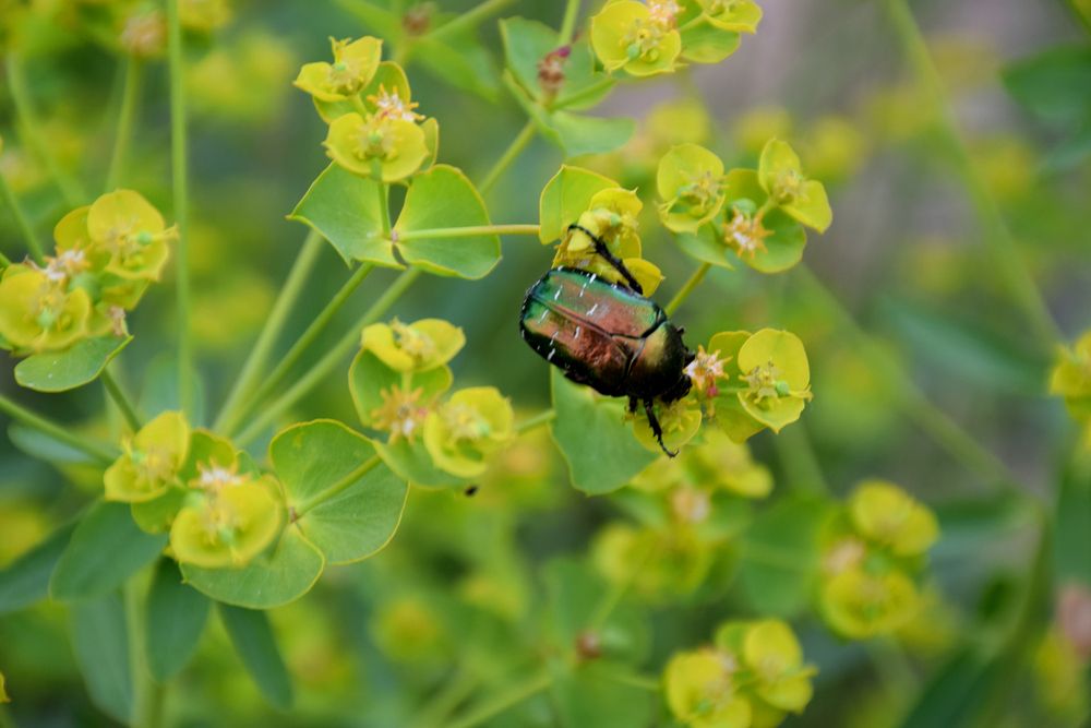Photograph by  Татьяна Дорожко
