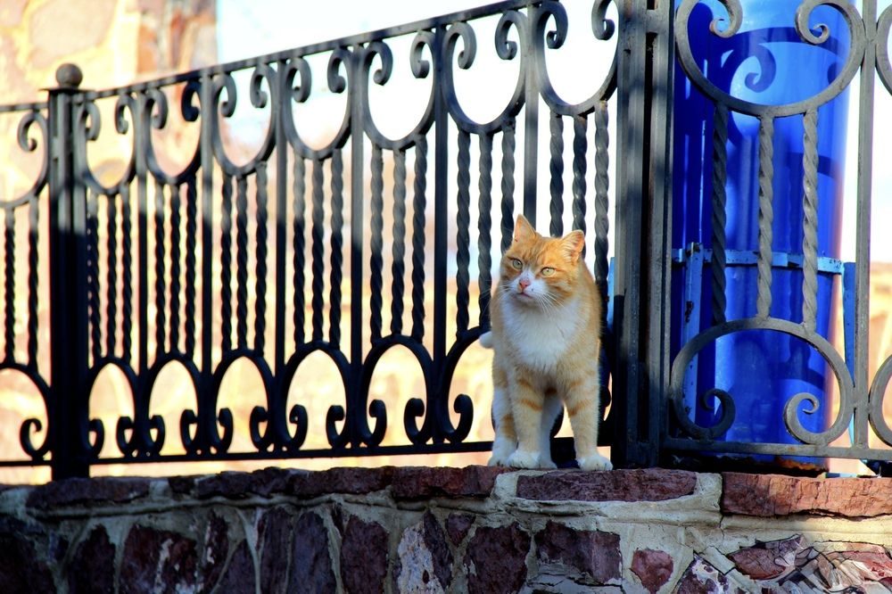 Photograph by Эльза Крюкова