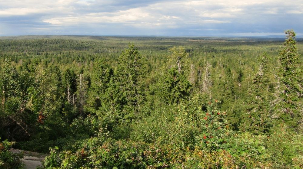 Photograph by Владимир Перминов