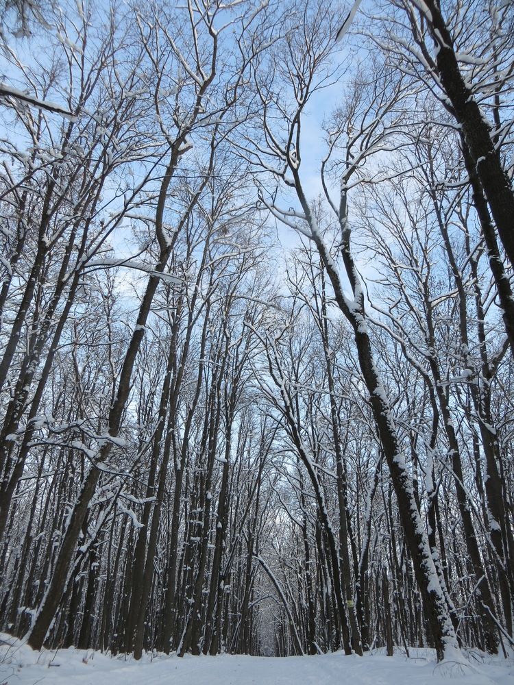 Photograph by Татьяна Поминова