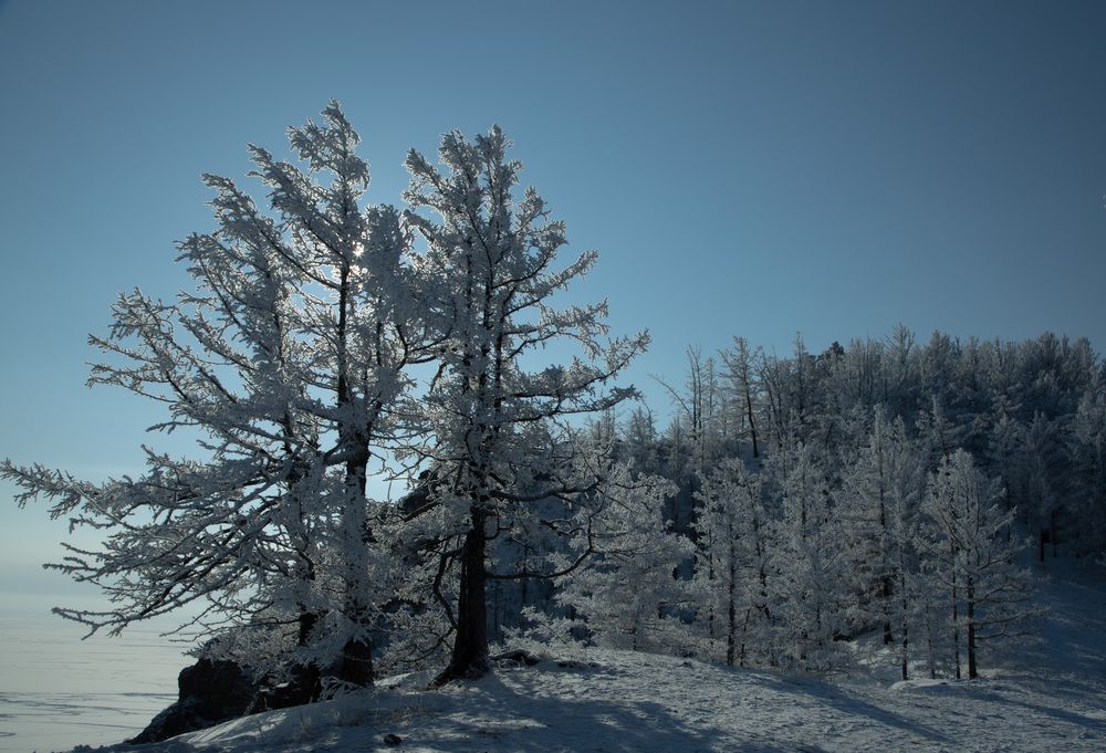Photograph by Ирина Бескровная