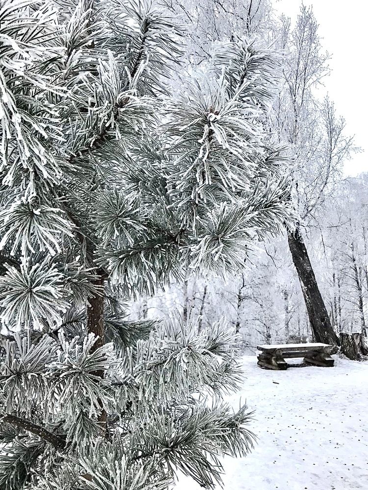 Photograph by Оксана Малышева