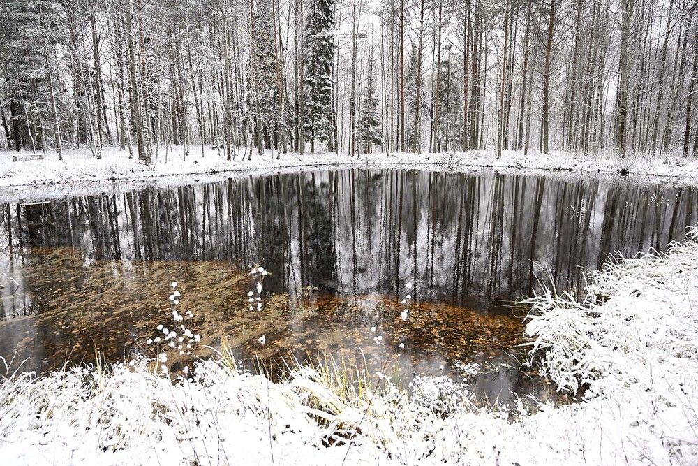 Photograph by Ксения