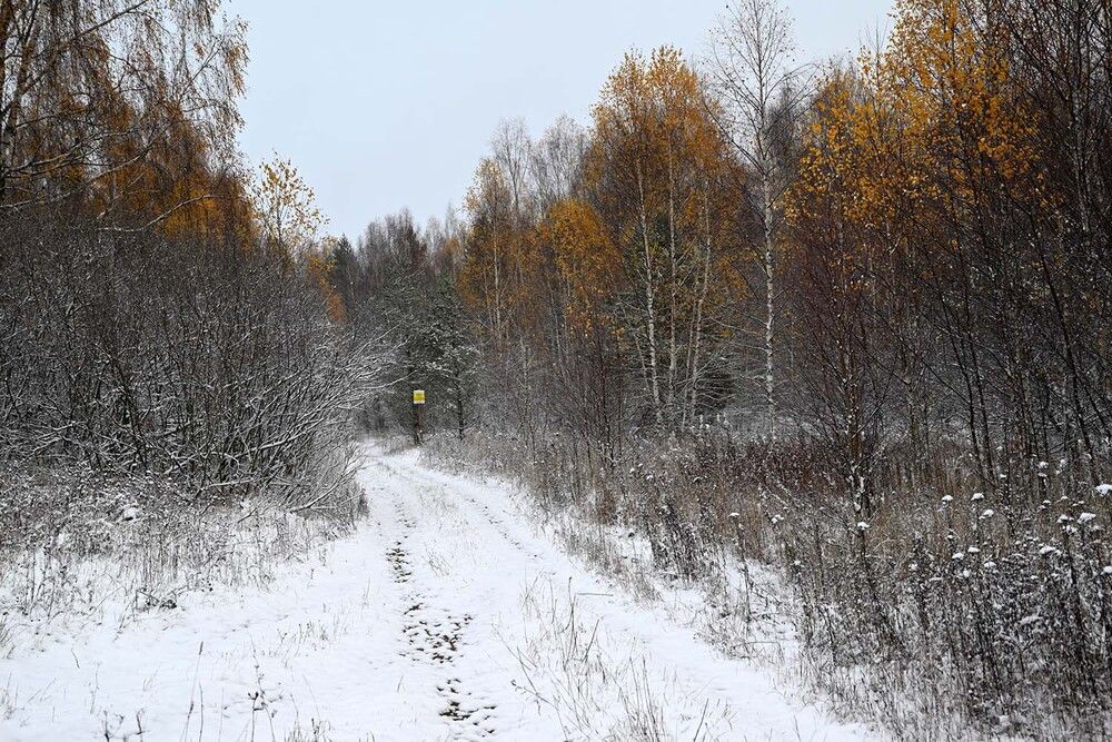 Photograph by Ксения