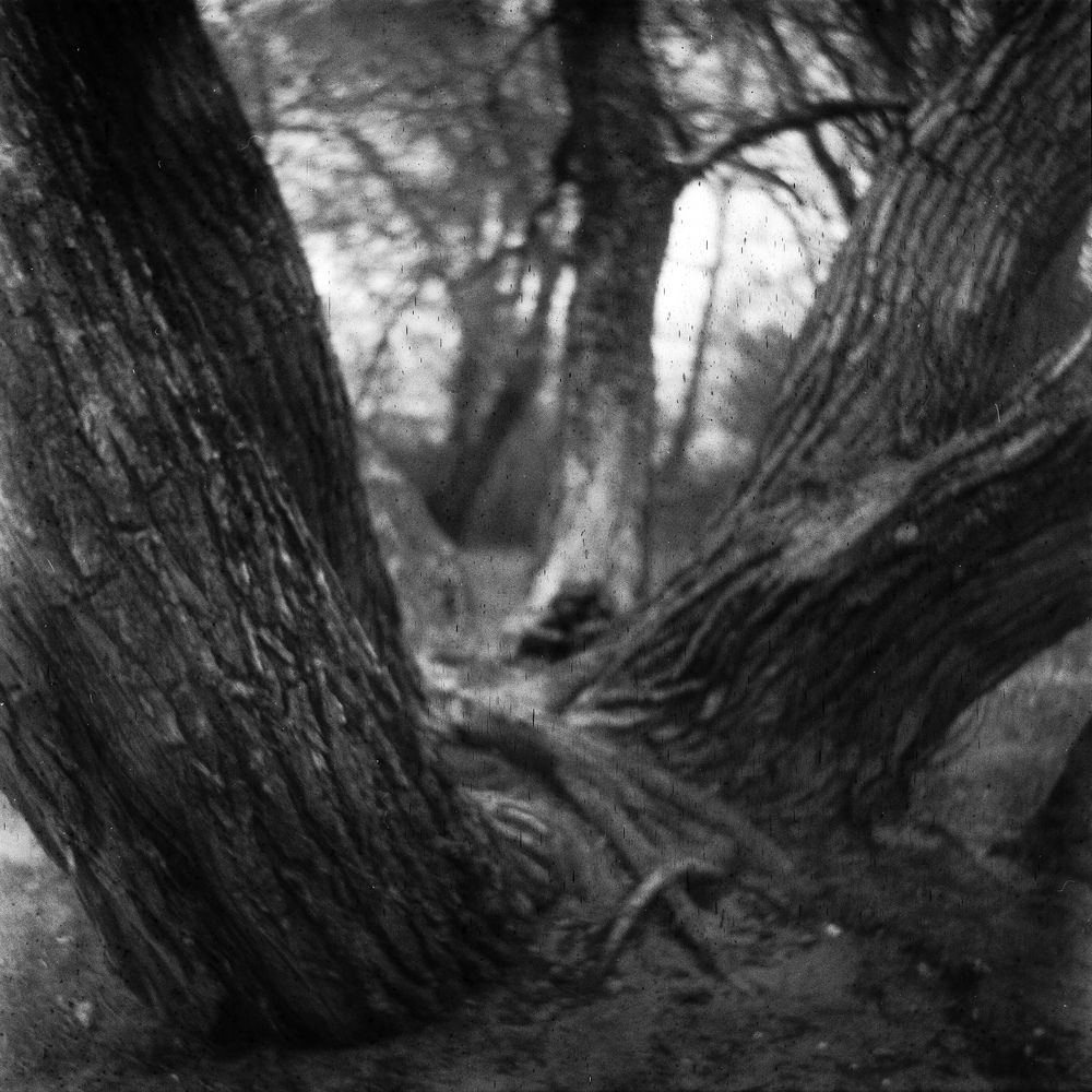 Photograph by Volha Ilyina