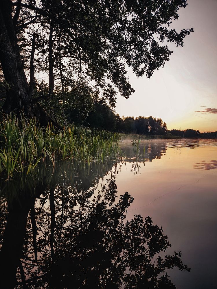 Фотография автора Наталья Бабицкая