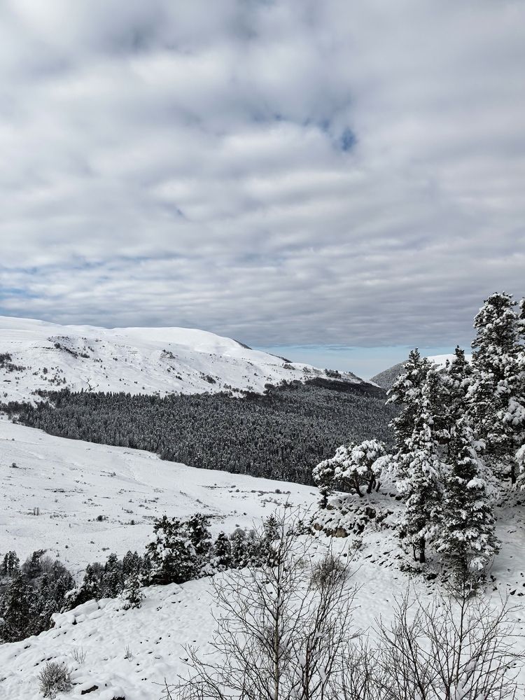 Photograph by Елизавета Зыкова